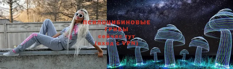 Псилоцибиновые грибы Cubensis  Верхнеуральск 